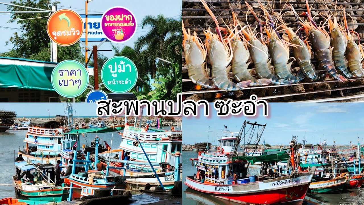 ไปซื้อกุ้งปูหมึกสดๆ ที่สะพานปลาชะอำ มีบริการย่าง ชมบรรยากาศ​ที่​สะพานปลา​ชะอำ​ด้วยกันนะคะ