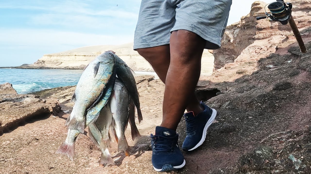 Mira como se #PESCA ocupando la Carnada M&aacute;gica
