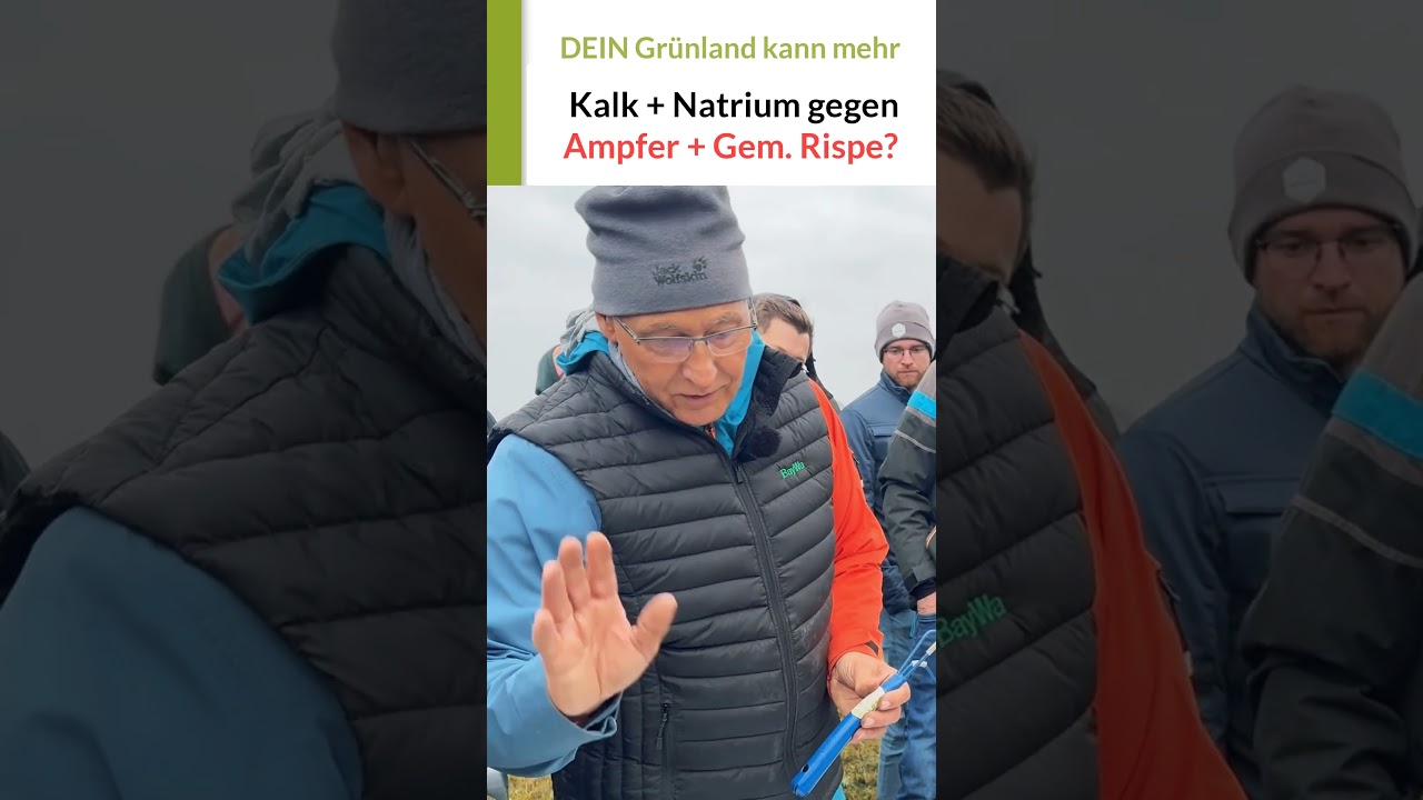 Ampfer + Gemeine Rispe mit Kalk + Natrium bek&auml;mpfen?! Live-Gr&uuml;nlandtag mit Hans Koch