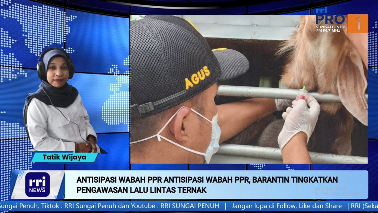 [BERITA] WBD – Antisipasi Wabah PPR, Barantin Perketat Lalu Lintas Ternak..