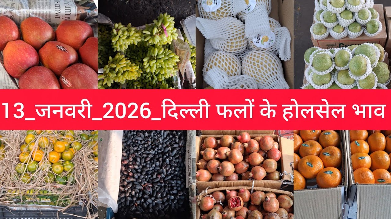 January 13, 2026 दिल्ली फलों के भाव Delhi fruit market price APMC fruit market price #fruitmarket
