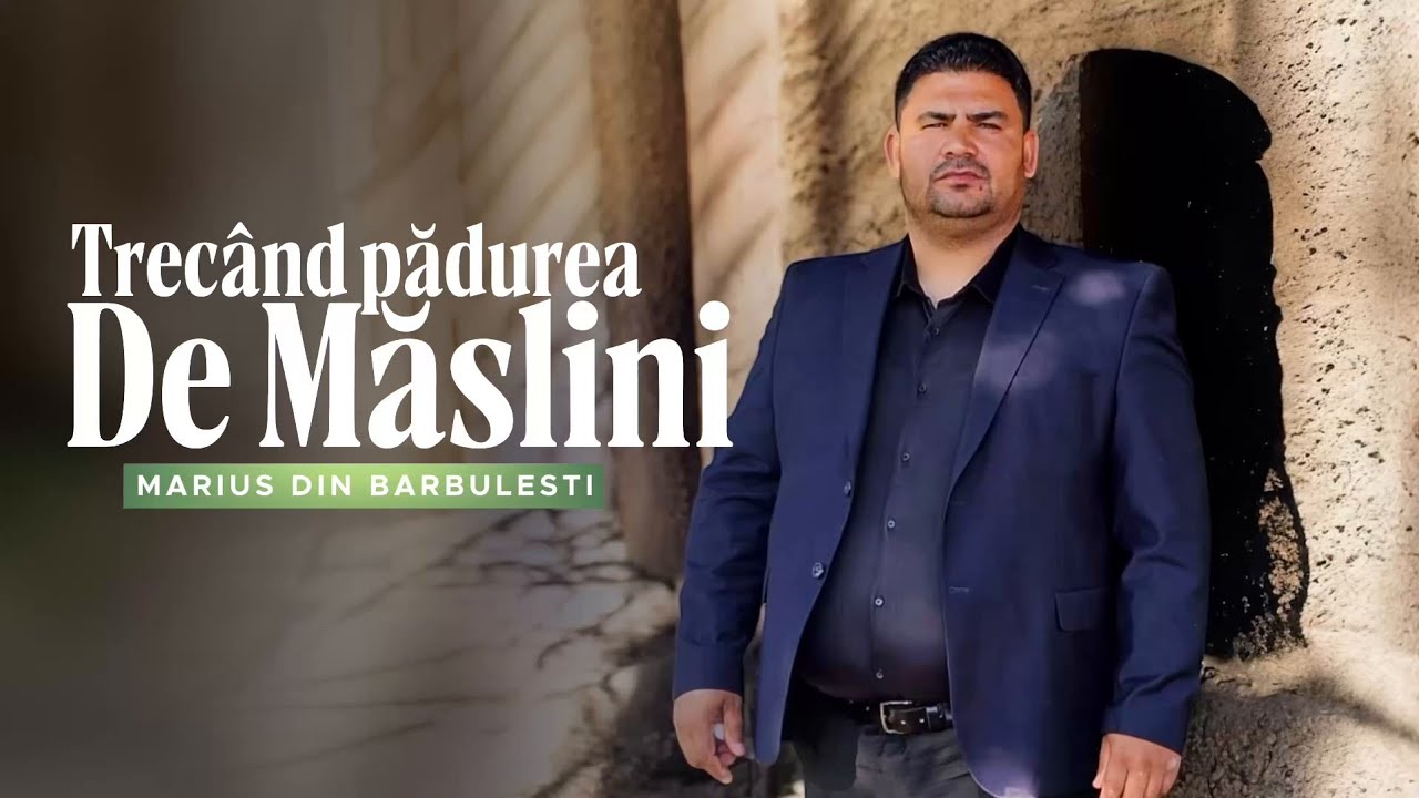 Marius din Barbulesti-Trec&acirc;nd Pădurea de Măslini/Nou 2025