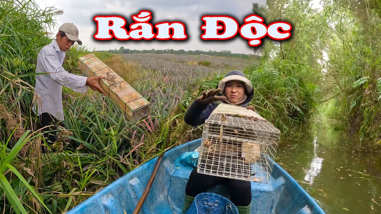 Lần Thứ 4 Đi Săn RẮN HỔ MANG # CSBR # 458