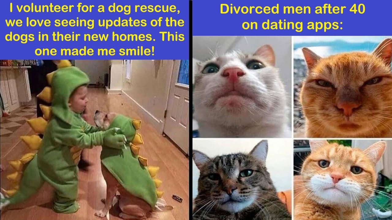 Wholesome Animal Memes That’ll Instantly Boost Your Mood | Happy And Fun
