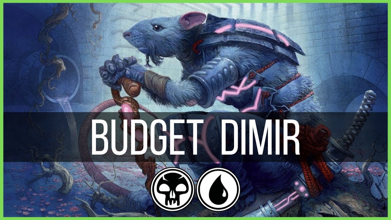 Budget Deck | Dimir Ninja Discard | Standard Deck for Beginners | MTGA