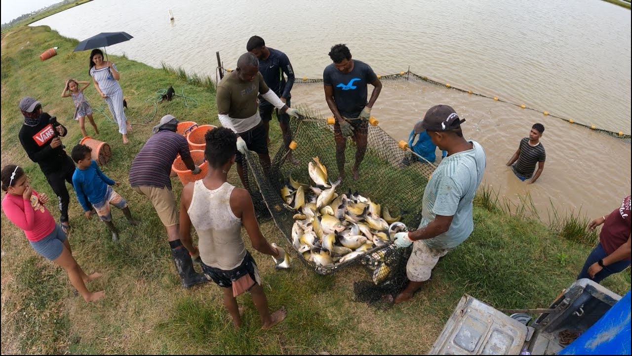LARGE SCALE FARM FISHING IN GUYANA