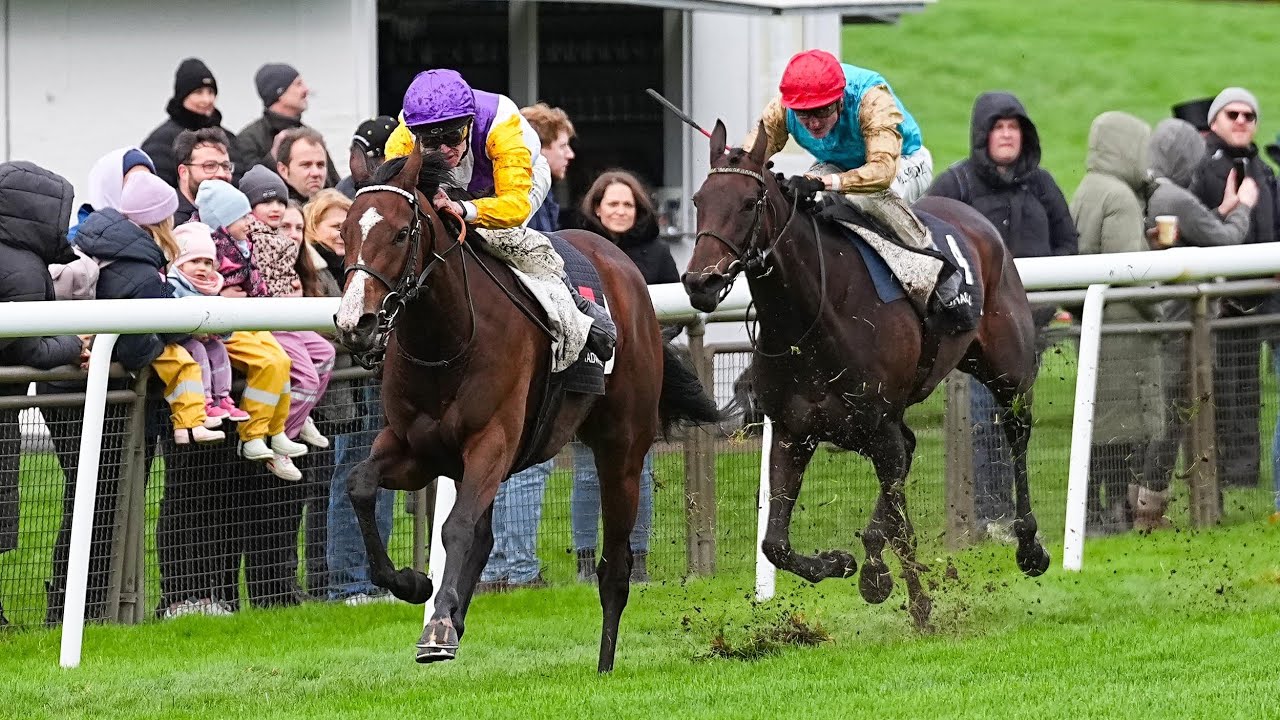 Hannover: Shadwell Stallions - Herbst-Stutenpreis 2025 Siegerin: Santagada