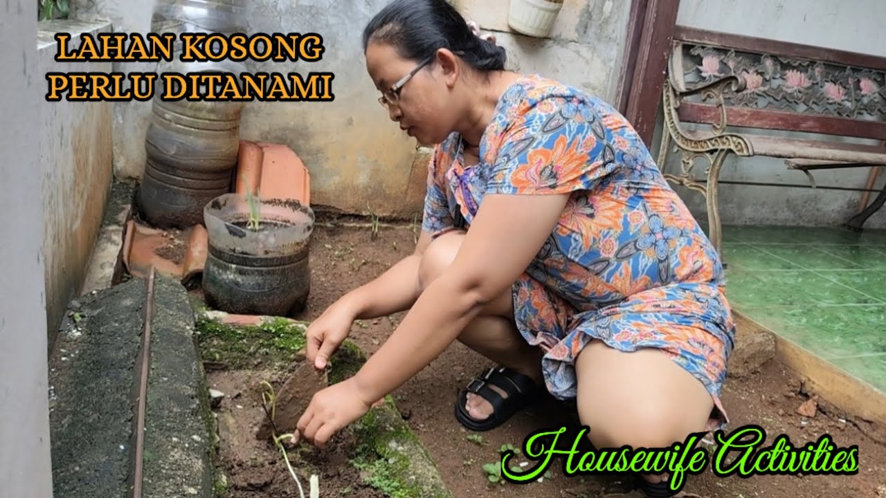 Menanam Sisa Potongan Sayur di Halaman Rumah - Daily Life