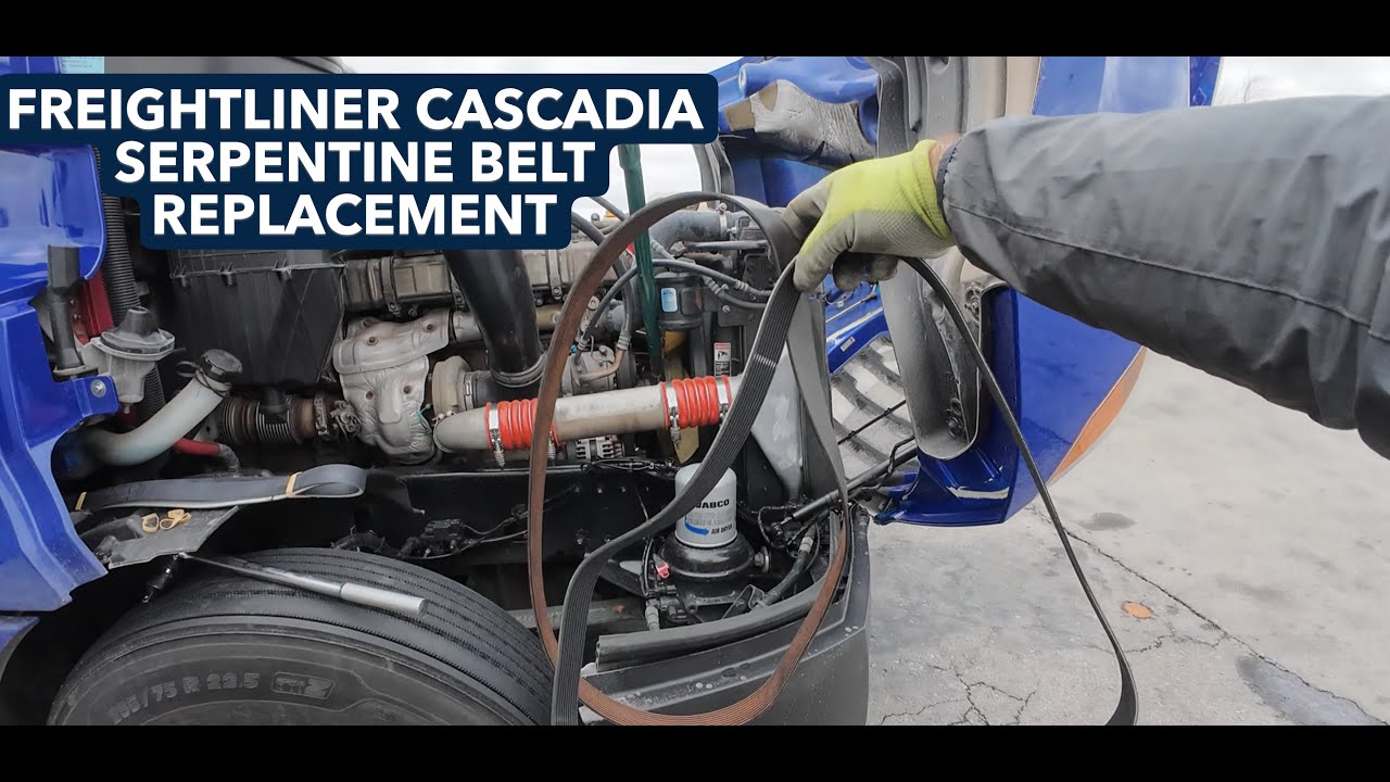 Freightliner Cascadia Serpentine Belt Replacement