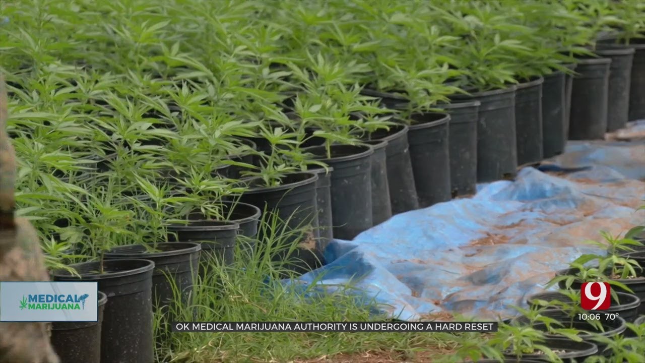 Oklahoma Medical Marijuana Authority Undergoing A &lsquo;Hard Reset,&rsquo; New Director Says