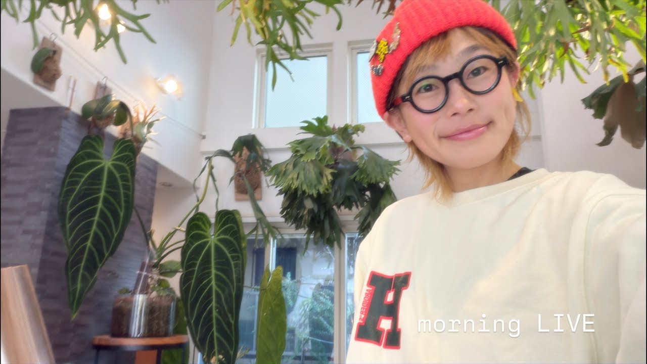 花森さん2月3日morning LIVE🩷✨