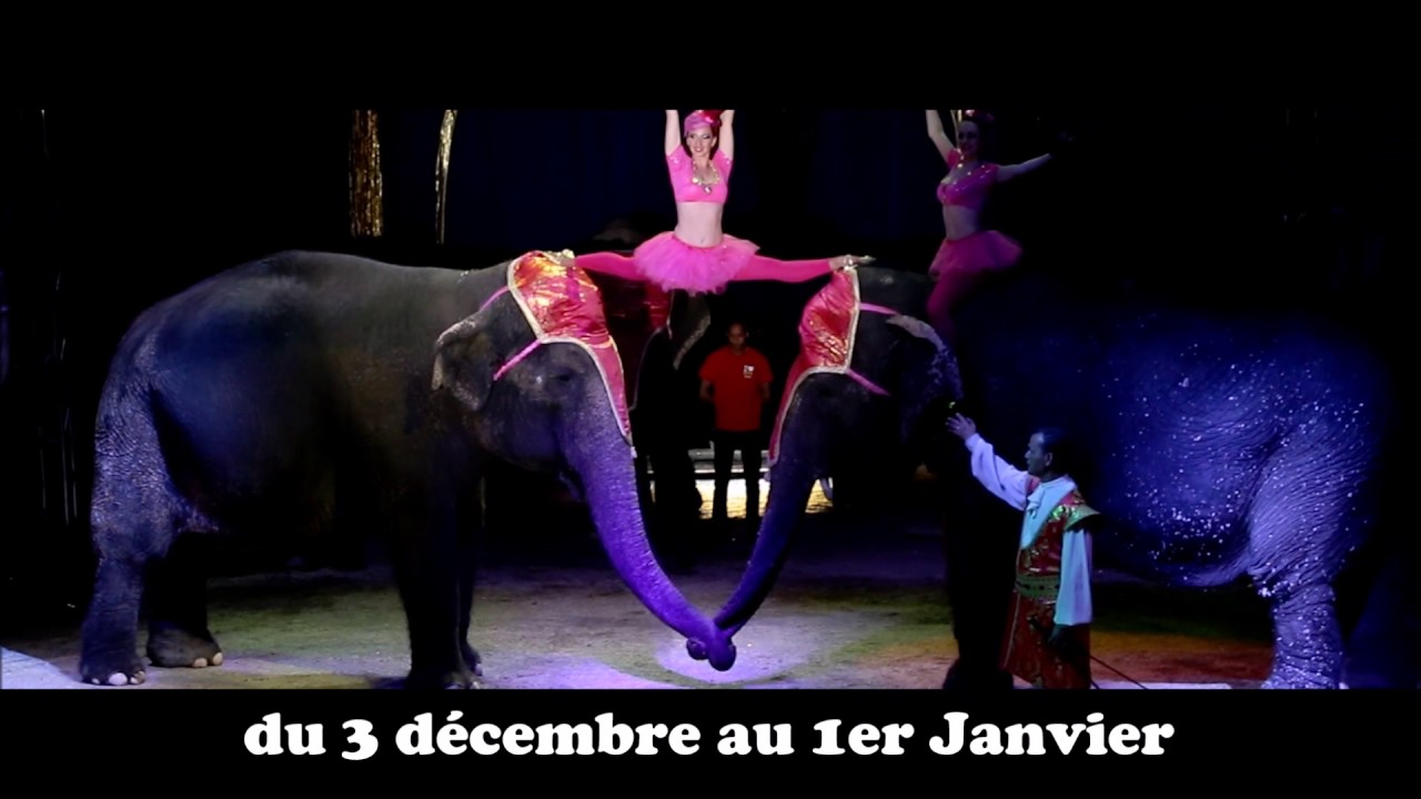 Cirque Médrano à Marseille