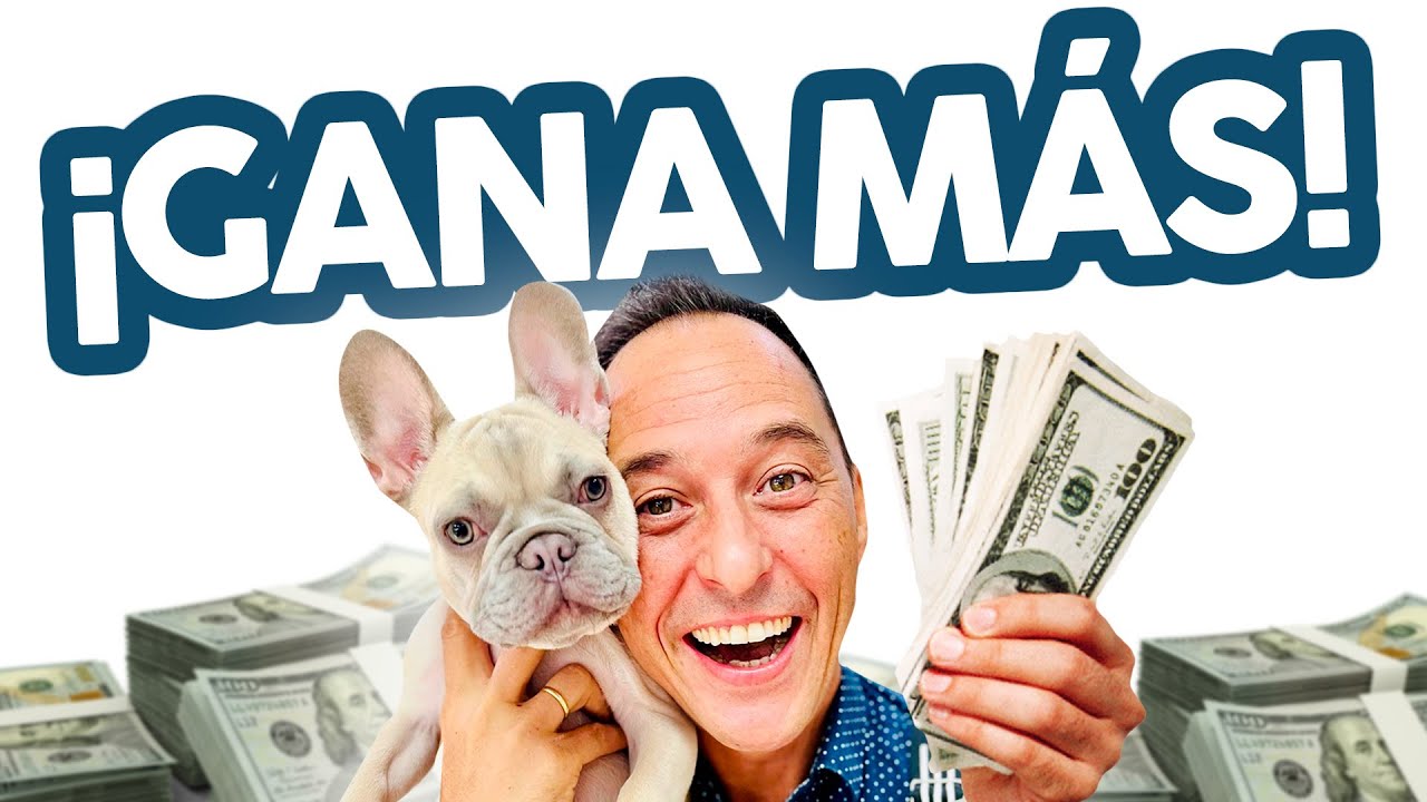 Así CONSEGUIRÁS LLENAR la AGENDA de tu PELUQUERÍA CANINA