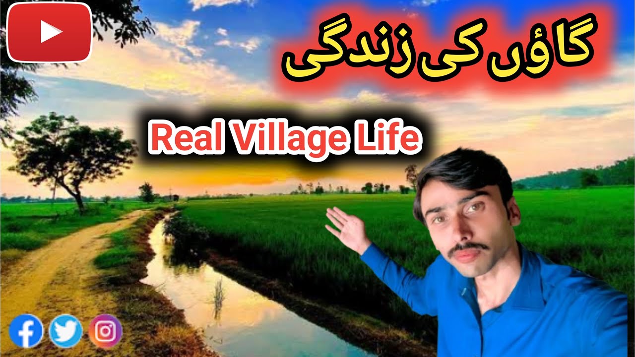 Real Village Life | Today’s Village Vlog | گاوں کی زندگی 🥰||