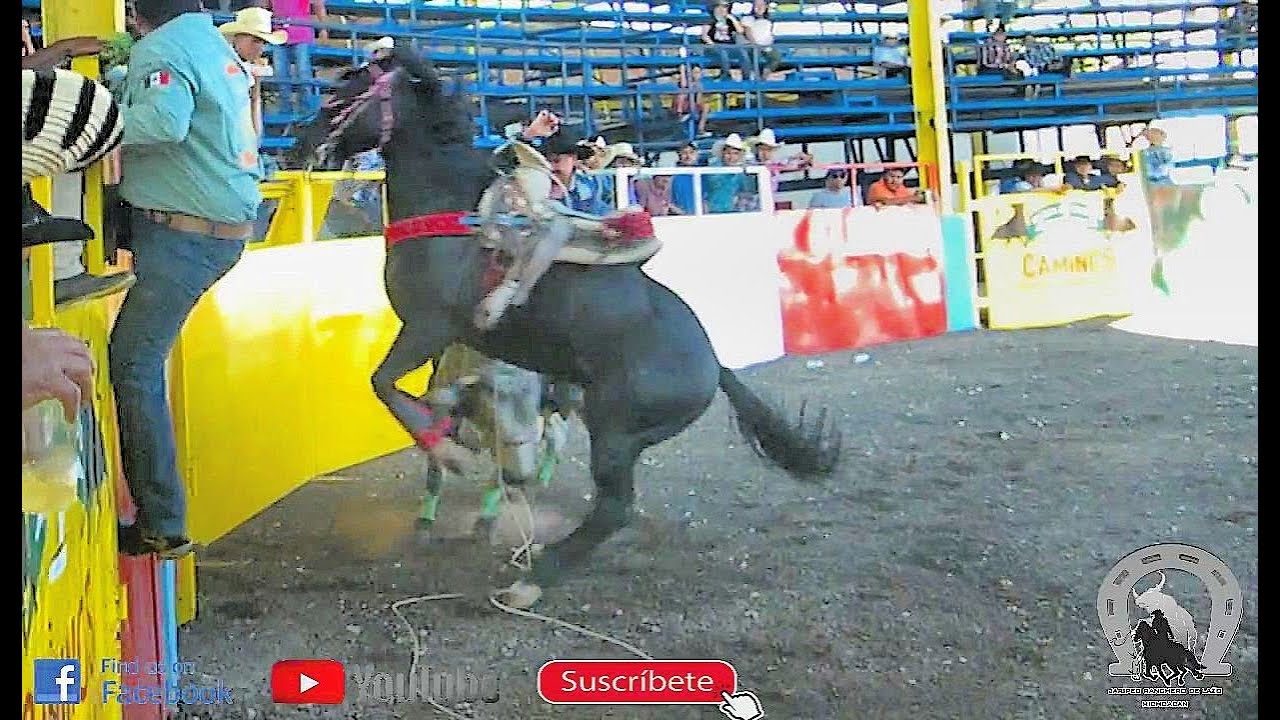 Grandes Jugadas Jaripeo En La Plaza Dos Caminos de Cañada de Caracheo