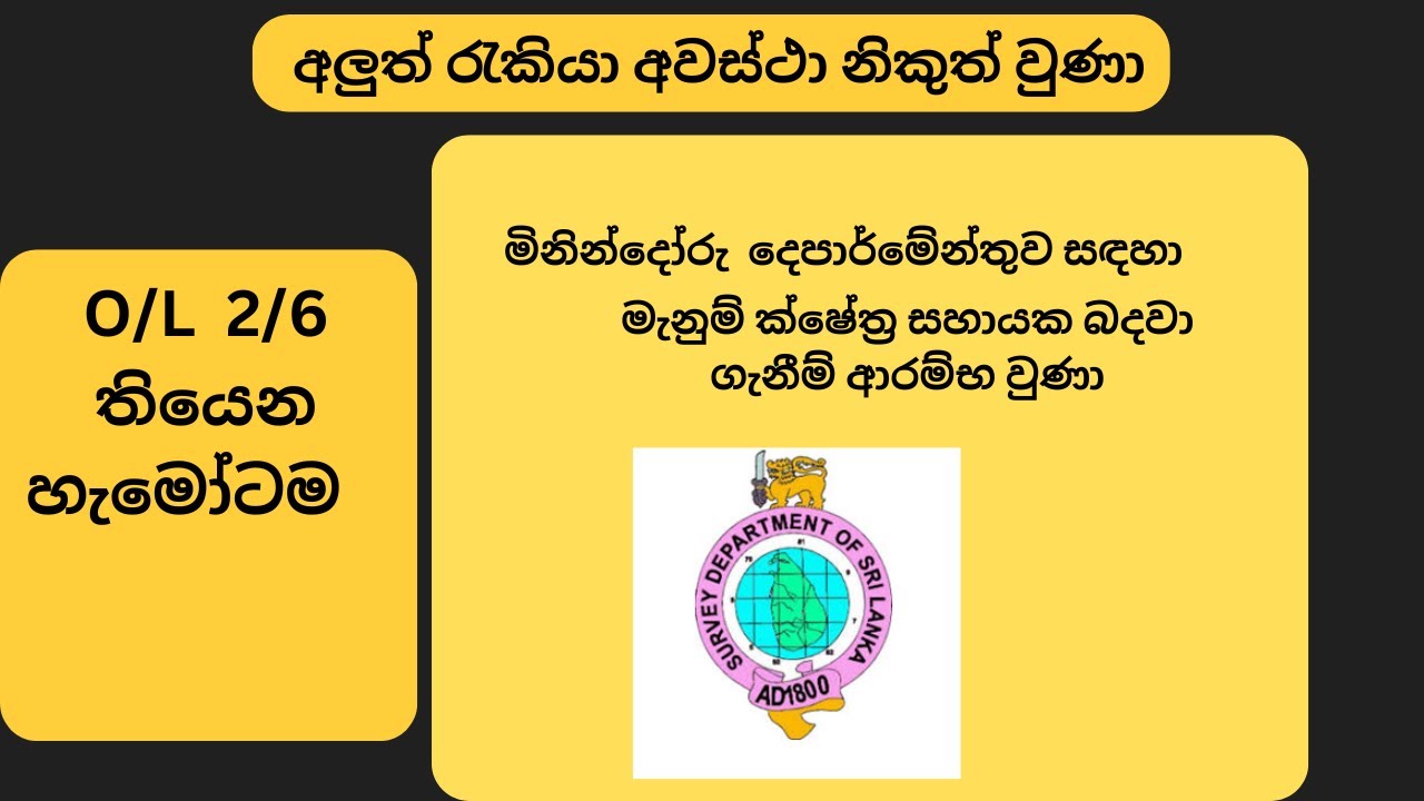 O/L 2/6 ක් ඇති අයට මිනින්දෝරු දෙපාර්මේන්තුවේ රැකියාවක්