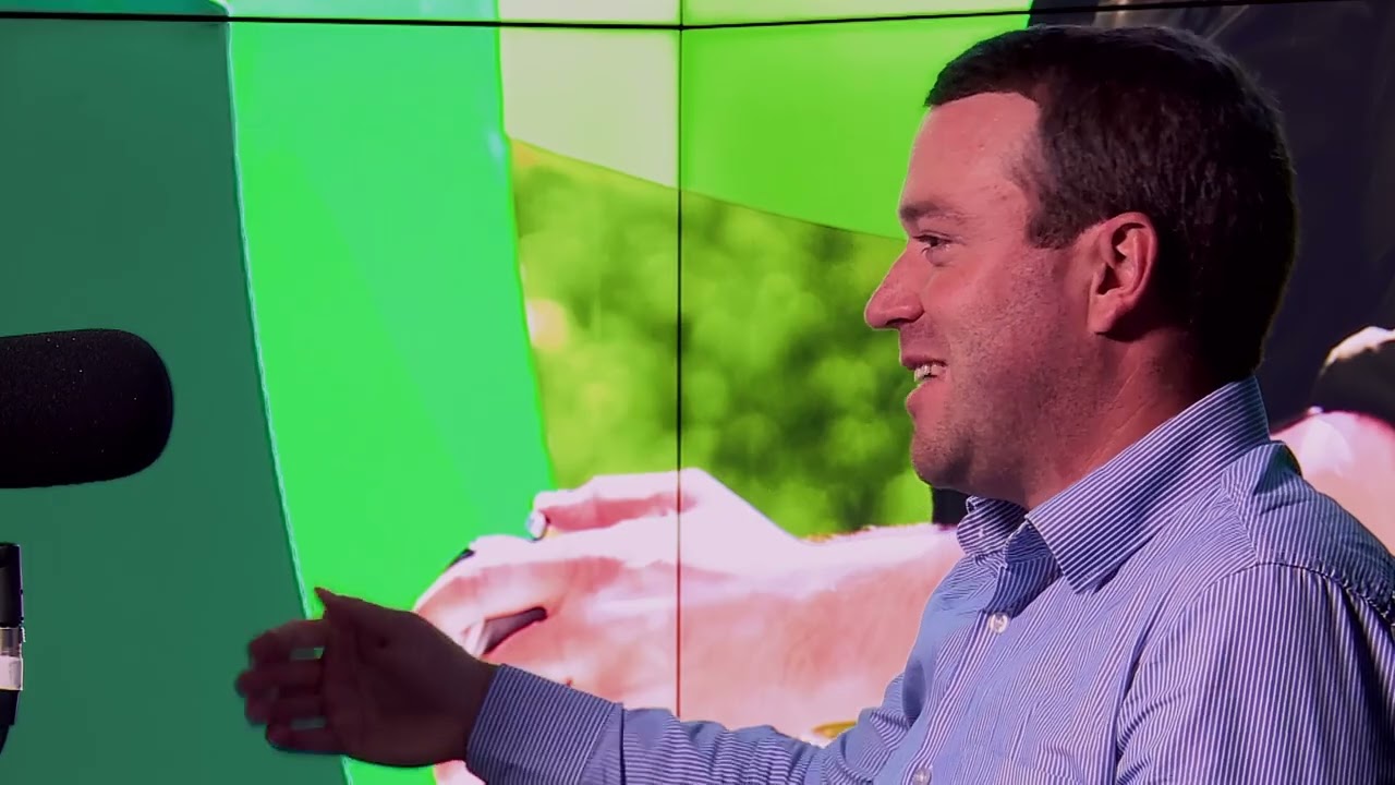How sustainability has become integral to modern Irish businesses #Sponsored