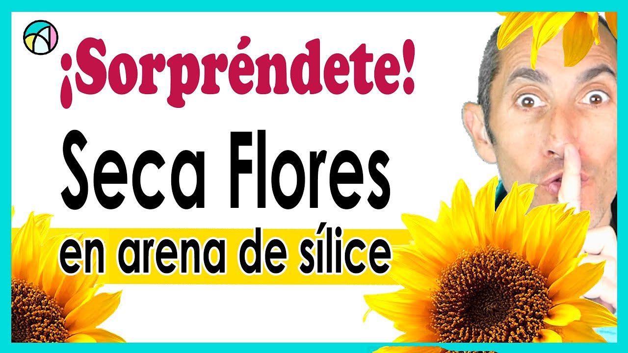 🌸 CÓMO SECAR FLORES 🌼 EN ARENA DE SÍLICE ( gel de sílice) 💎 Joyería y Bisutería con RESINA EPOXI