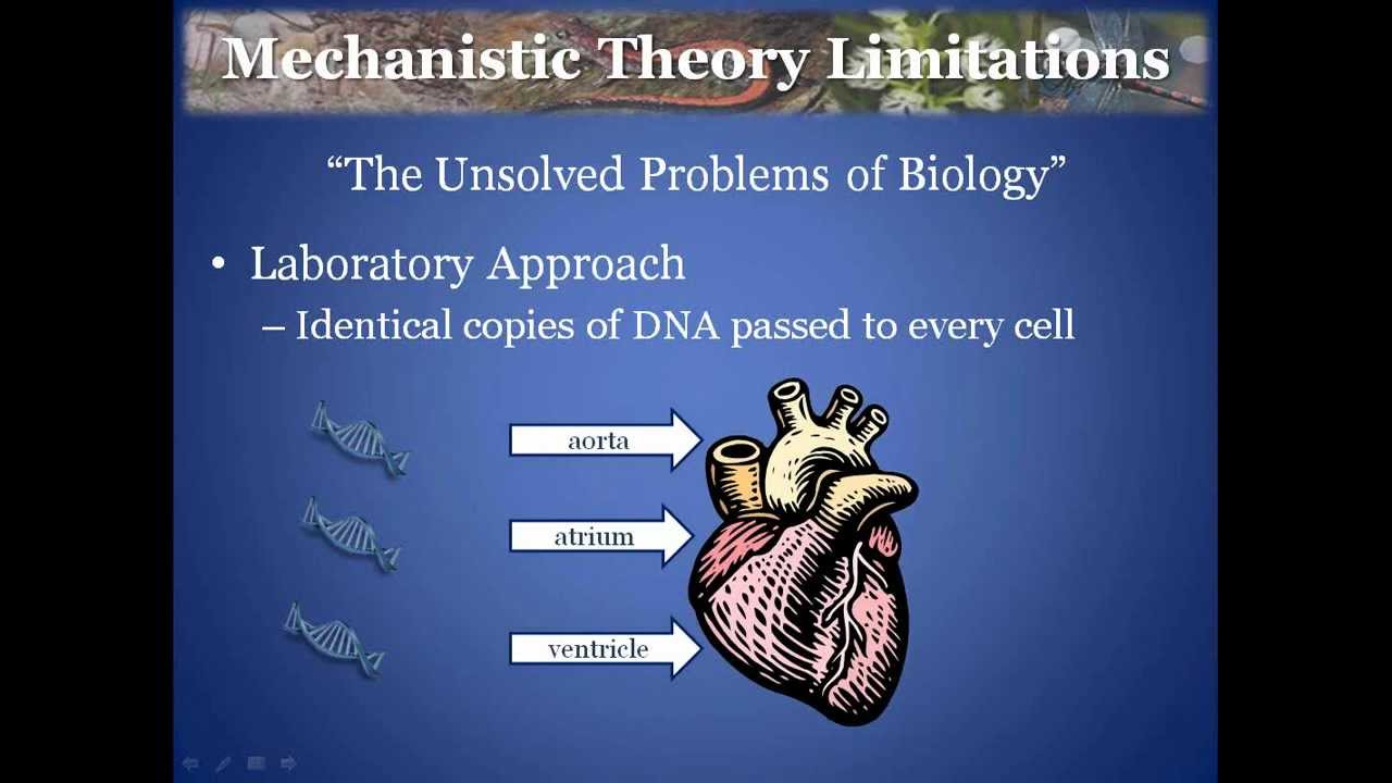 Interspecies Comunication Research: How YOU Can Participate