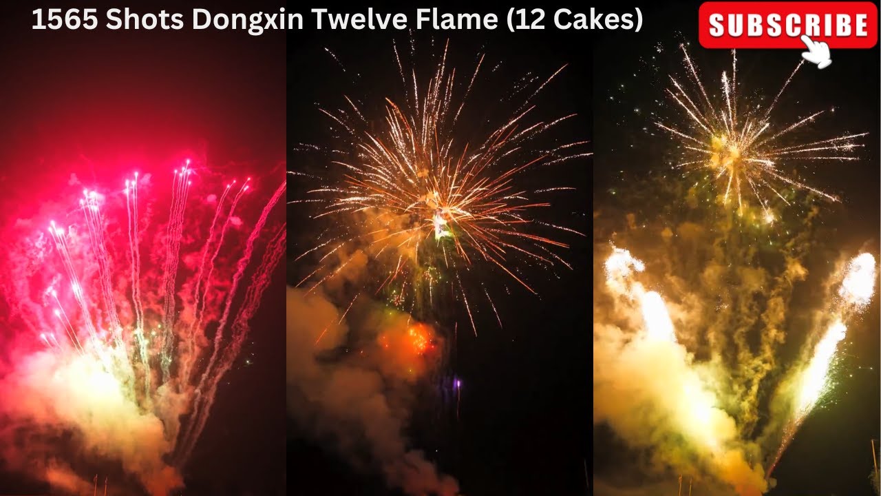 1565 Shots Dongxin Twelve Flames(12 Cakes) by Dancing Fireworks 2024