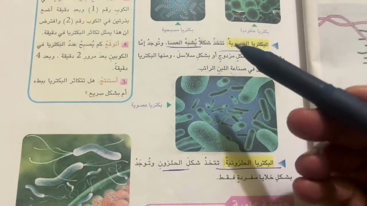ما البكتريا؟ الصف الرابع الابتدائي ص20