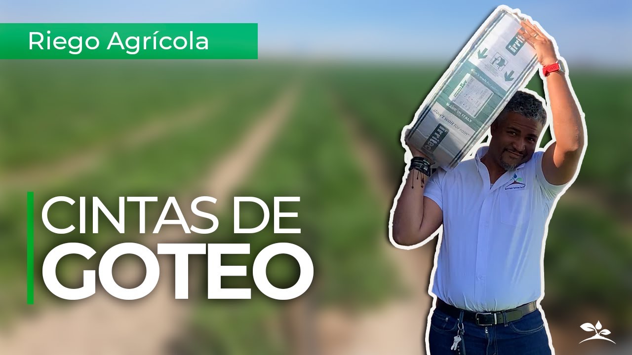 CINTAS DE GOTEO - TODO LO QUE NECESITAS SABER. FUNCIONAMIENTO, USOS, TIPOS,  VENTAJAS & DESVENTAJAS.
