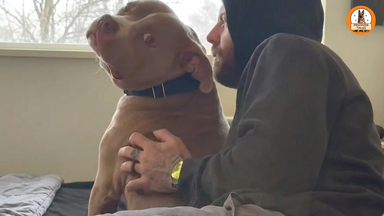 He Never Tried to Impress Anyone—Until I Was About to Lose My Dog