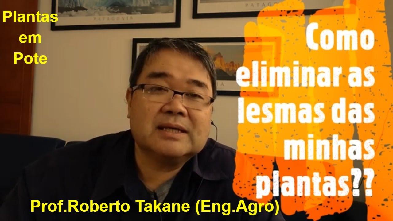 Como eliminar as Lesmas e os Caracois do meu vaso? Prof.Roberto Takane