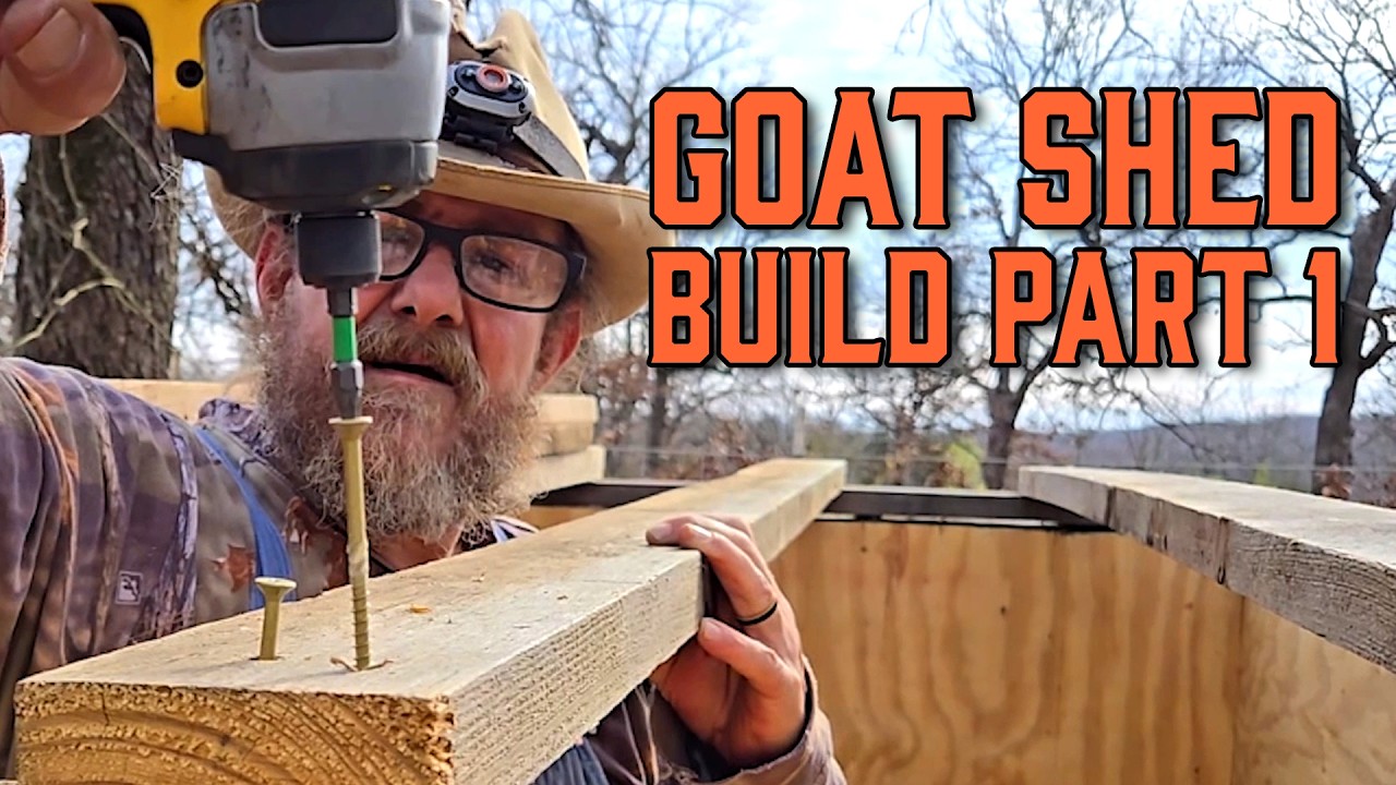 Goat Shed Build - Part 1 - 2.13.26