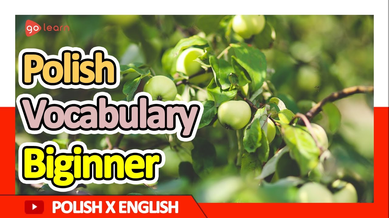 Learn Polish |Part 2: Polish Vocabulary Biginner | Golearn