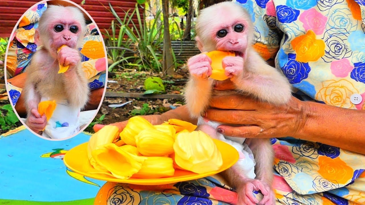 Mommy always give the special take care for lovey baby Kira #shortvideo #cute #funnyvideo #shorts