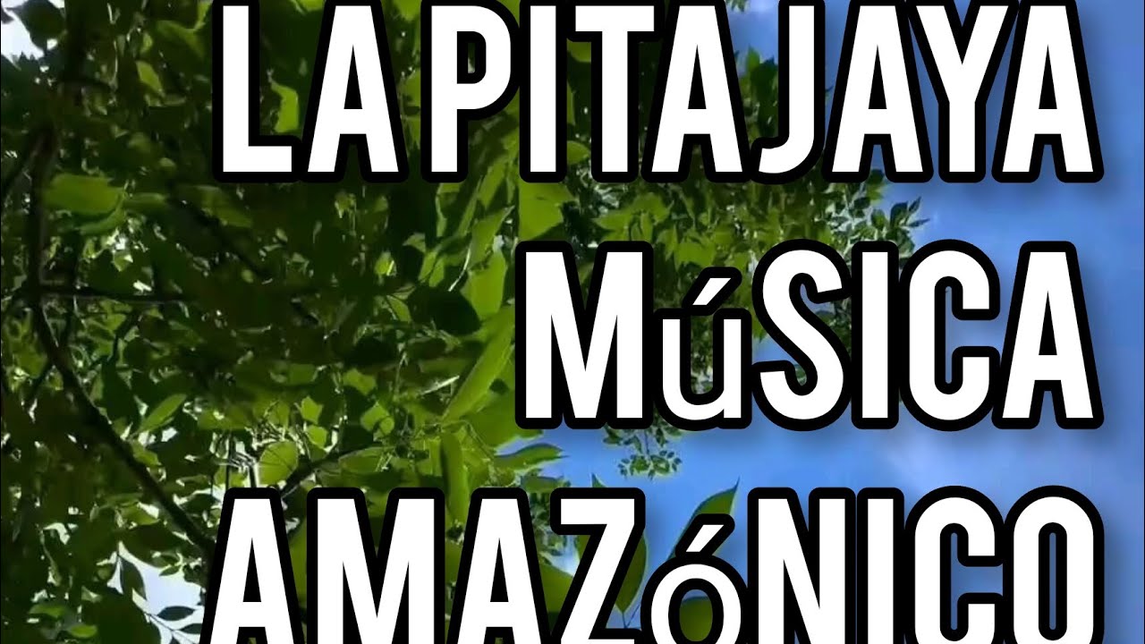 La pitajaya cuando yo la conoc&iacute; ft Music Amaz&oacute;nico Ciudad andina 🎵🎼🥰