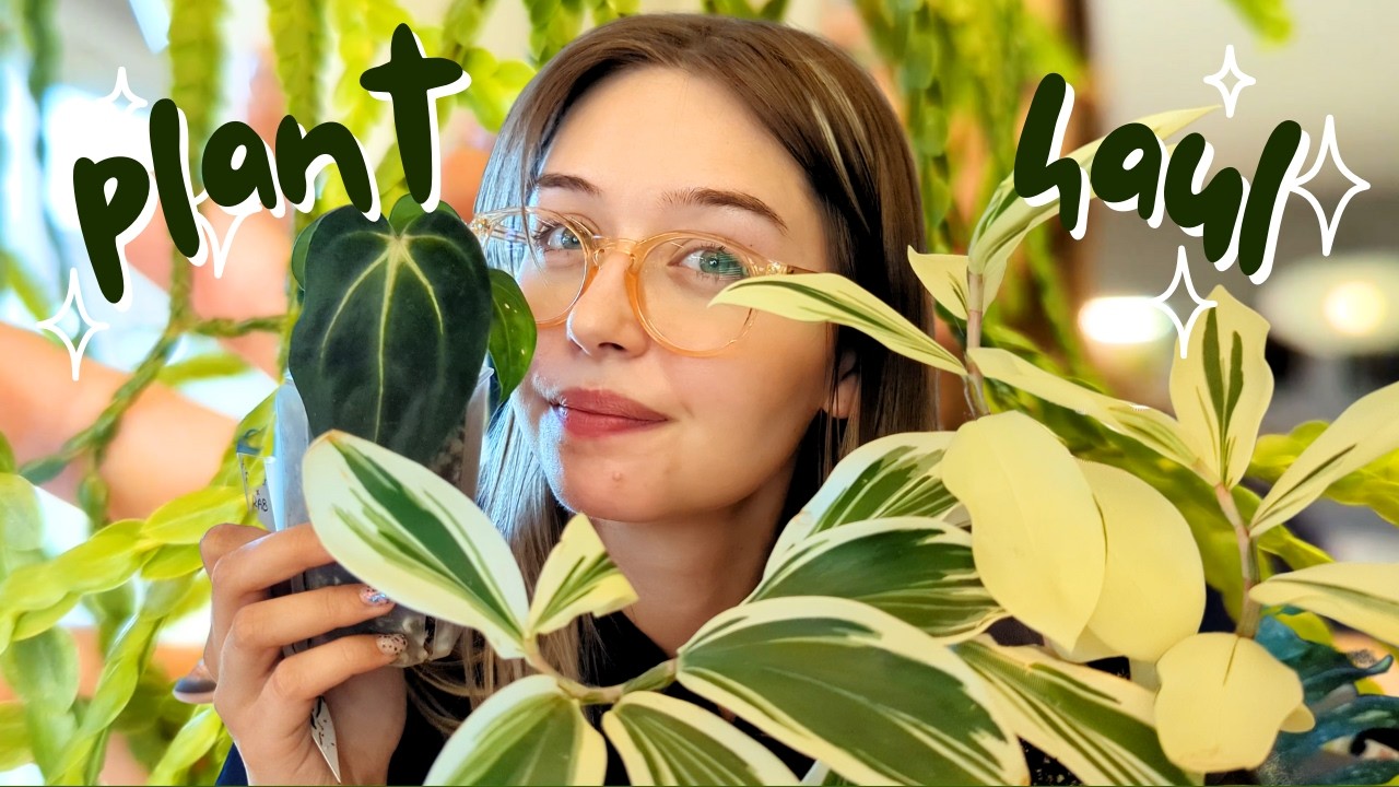 Help, I've been influenced | Plant haul May 2025