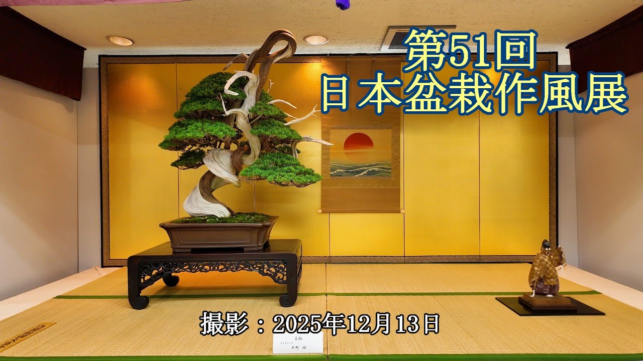第51回日本盆栽作風展  上野グリーンクラブ  [4K] The 51st Japan Bonsai Sakufu Exhibition (The Art of Sakufu Bonsai 2025)