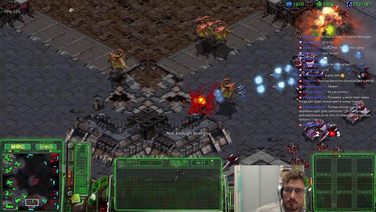 Mass Zerg ladder
