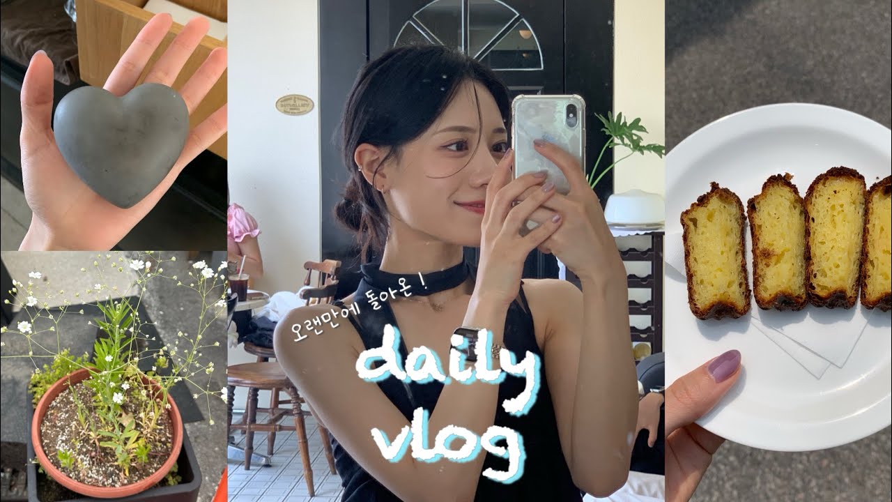 [일상브이로그] INFP는 관심 싫어 아니 좋아 아니 싫어 아ㄴ... | 1년만에 올리는 vlog | 광주 임실 나들이 | 직장인 일상 | 취미