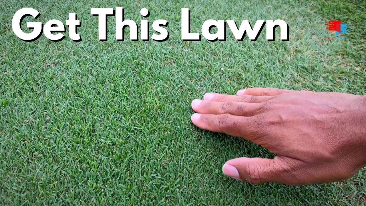 Dark Green Grass and Less Mowing with One Product