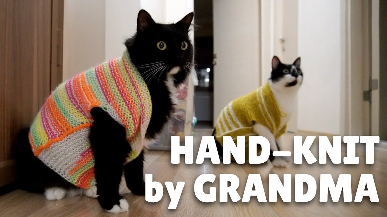 Cat vest cardigan handmade by grandma | Uni and Nami | Catz Club