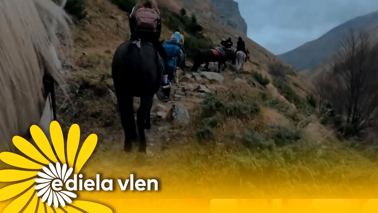 Aventura me kuaj në Malet e Sharrit, që duhet ta provoni një herë në jetë