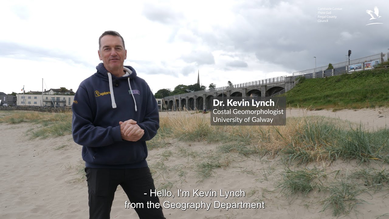 Exploring Sand Dunes and Coastal Ecosystems at Balbriggan Beach