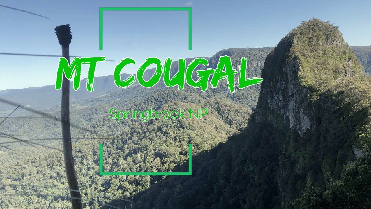 Mt Cougal