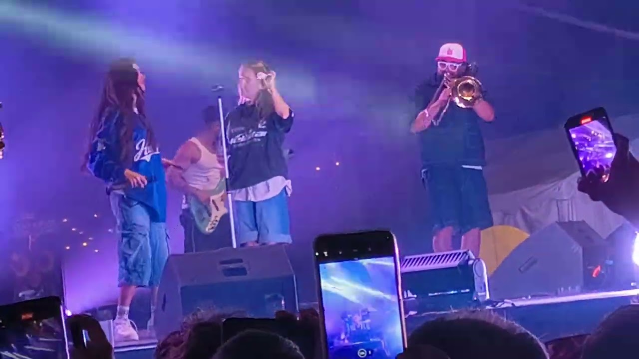ZILELE BISTRITEI- CONCERT THEO ROSE
