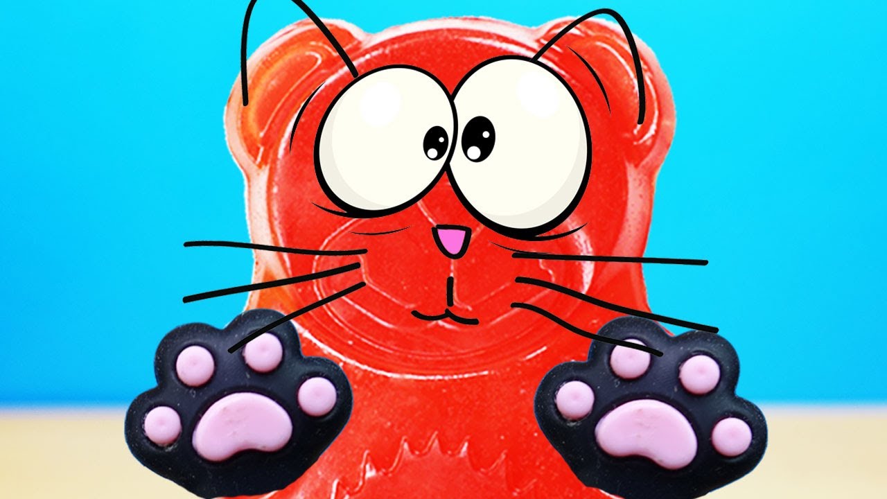 O URSO GATO E O URSINHO DE GELATINA VALERA | O URSO GATO E O URSO VALERA | GATO ANTISTRESS