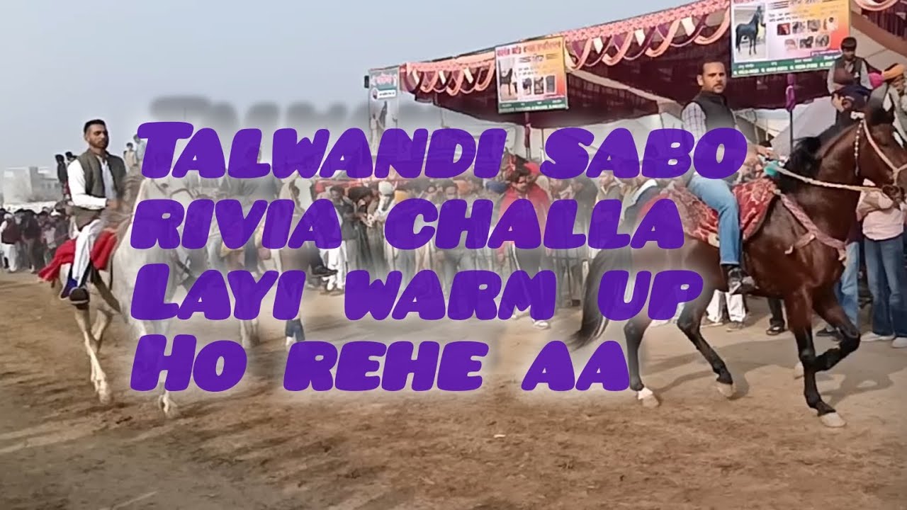 Talwandi sabo hours mela,, rivia challa layi warm up ,,,#horusheresy #horseriding #talwandisabo #