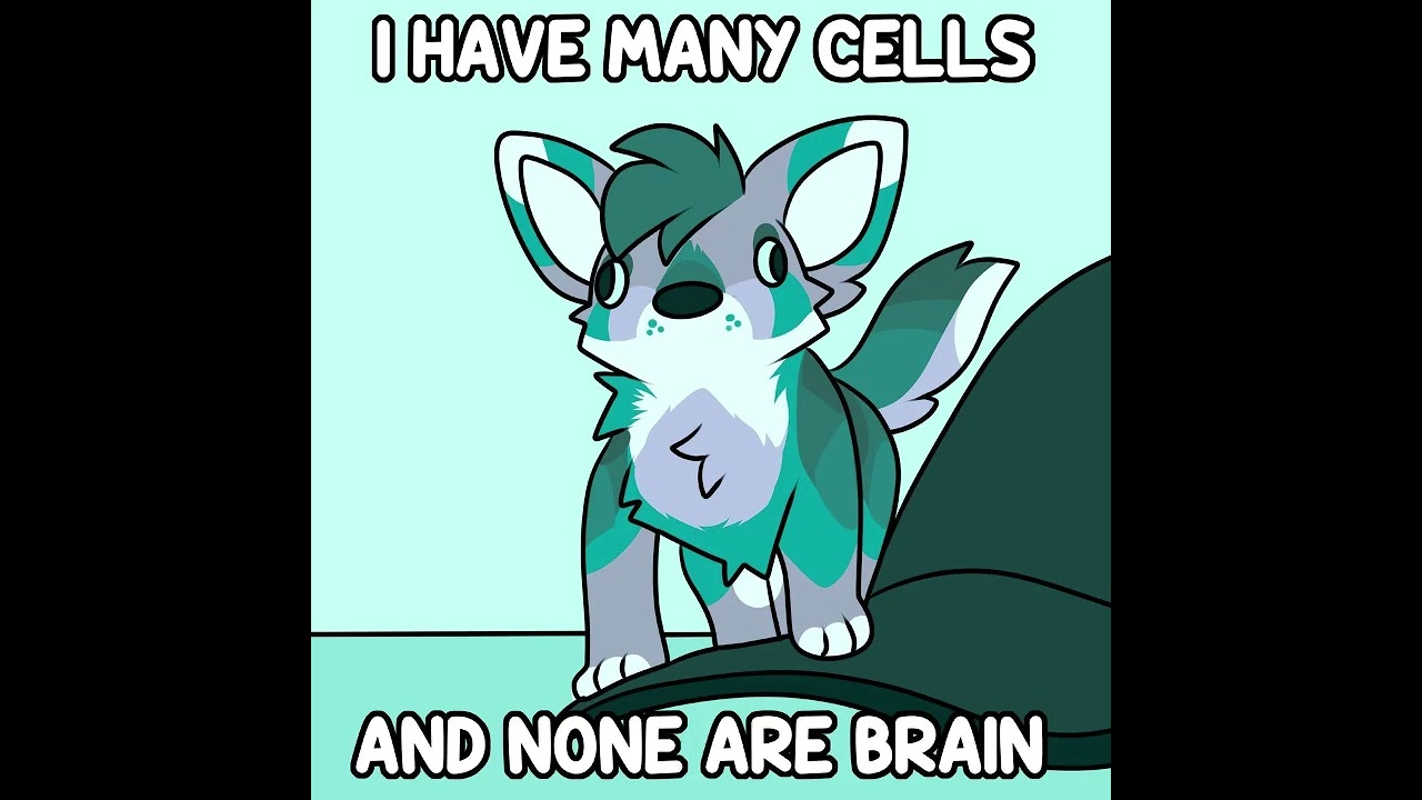 furry memes 17