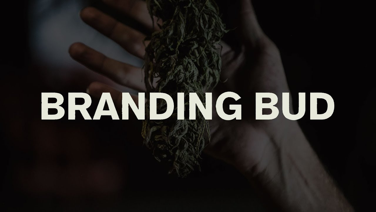 Branding Bud - Episode 06