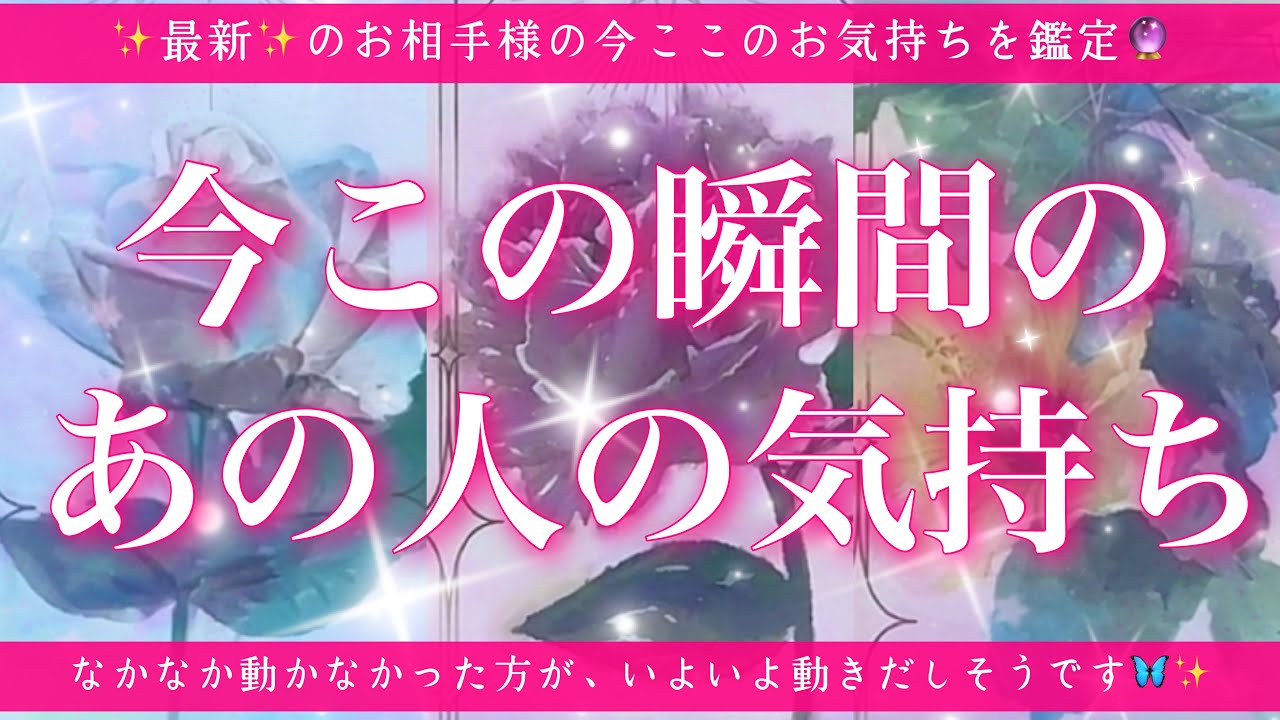 【最新✨恋愛💖】今この瞬間のあの人のあなた様へのお気持ち🔮🦋ルノルマンカードとタロットカードの併せ読みでズバリ鑑定します✨