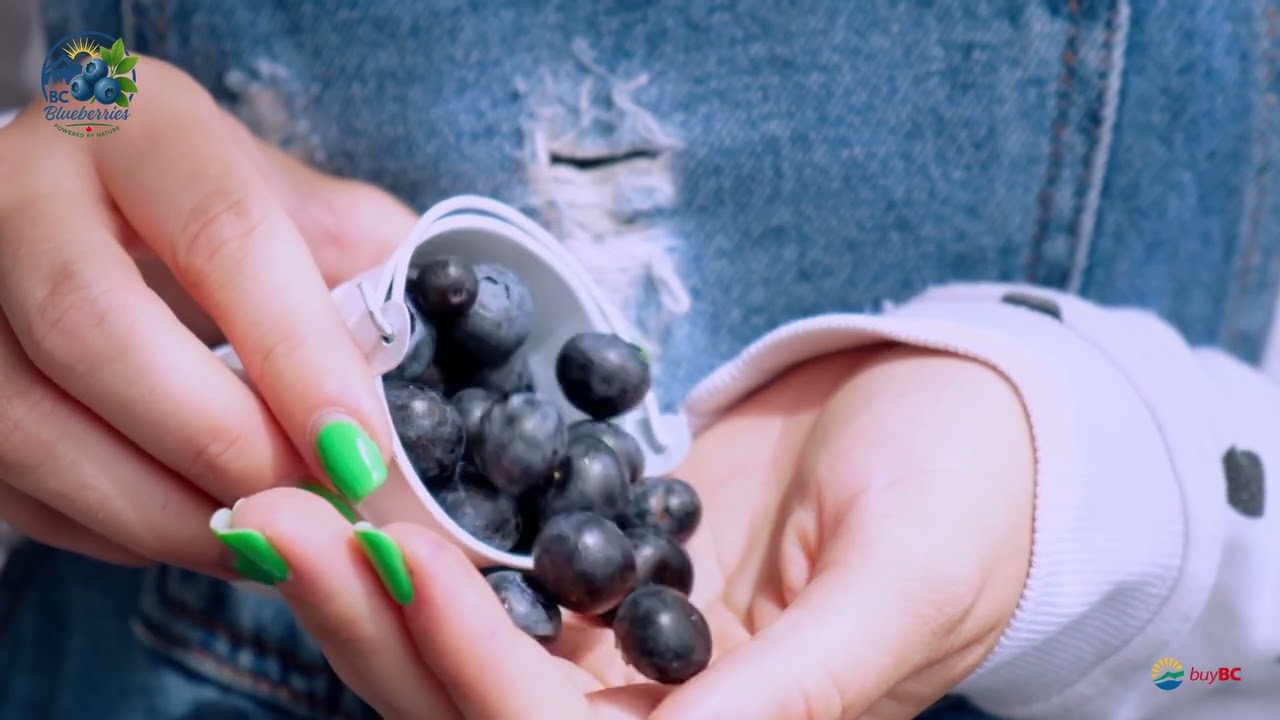 BC Blueberry Council | Supporting BC’s Blueberry Growers
