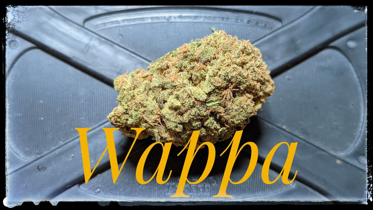 Strain Review - Wappa - Redecan