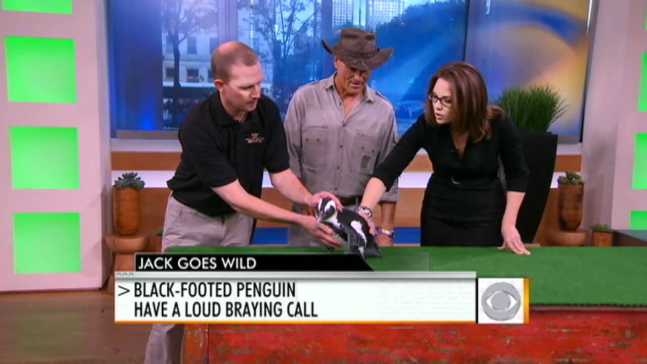 Jack Hanna Goes Wild!